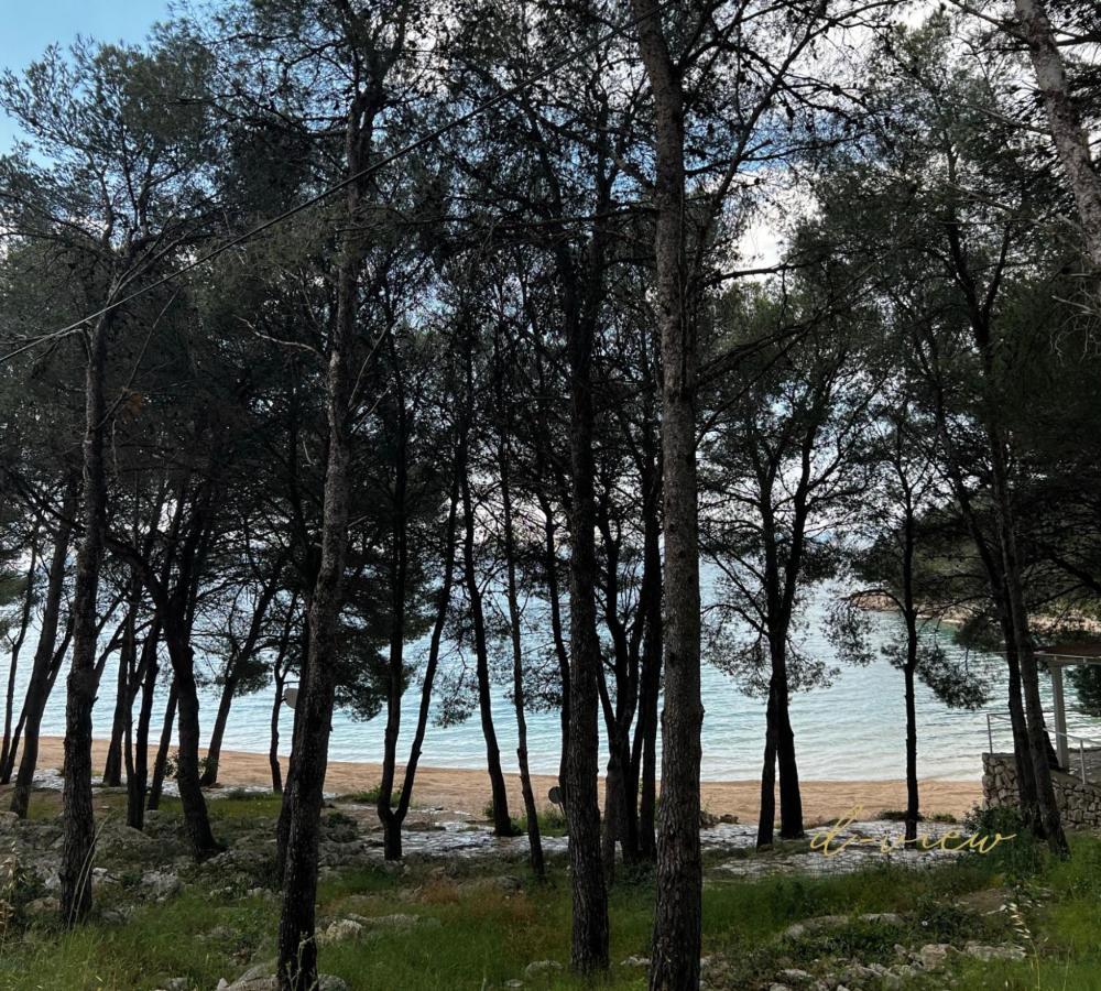 D-view Premium Mobile - Panoramic Seaview - 150 M From Beach, Free Parking Appartamento *